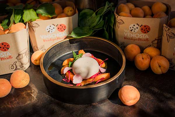 Venosta Valley apricots parfait