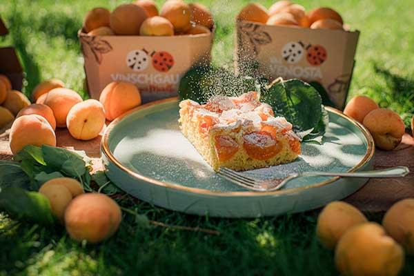 Mandel – Vinschger Marillenkuchen